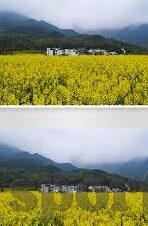 澳洲甲足球比分直播-实时追踪澳洲甲风云,澳洲甲足球比分直播全解析
